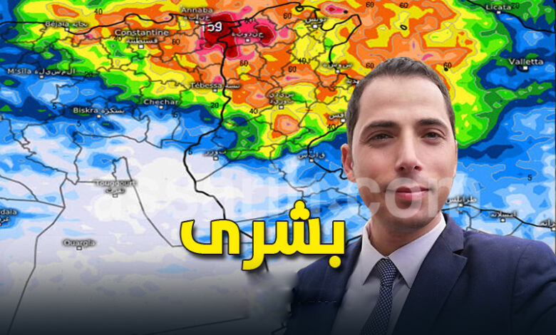 mehrez ghannouchi