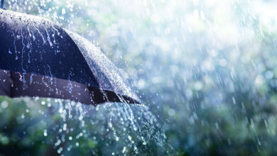 pluie