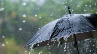 pluie