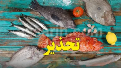 poisson-780x470