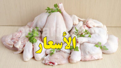 viande de poulet