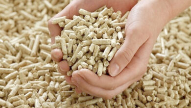Alimentation animale