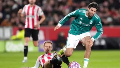 Brentford VS Liverpool