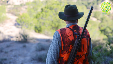 Chasse sauvage