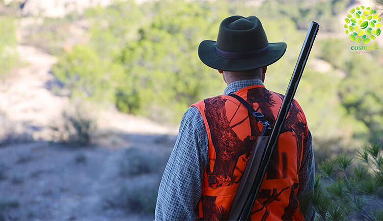 Chasse sauvage