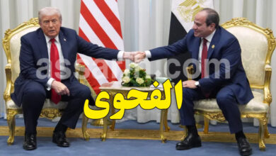 Donald Trump Abdelfattah Sissi
