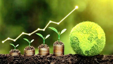 Financer l'économie verte