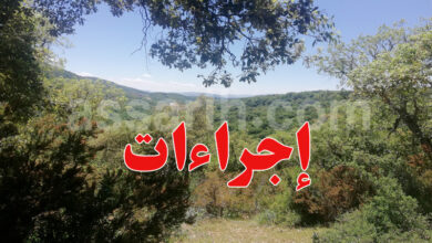 Forêts de Tabarka et d'Ain Draham