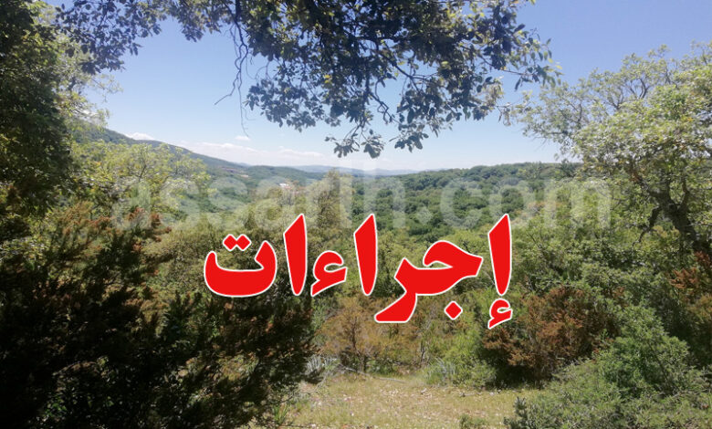 Forêts de Tabarka et d'Ain Draham