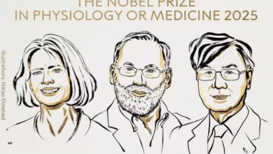 Mary Brunkow, Fred Ramsdell et Shimon Sakaguchi, Lauréats du Prix Nobel de médecine 2025