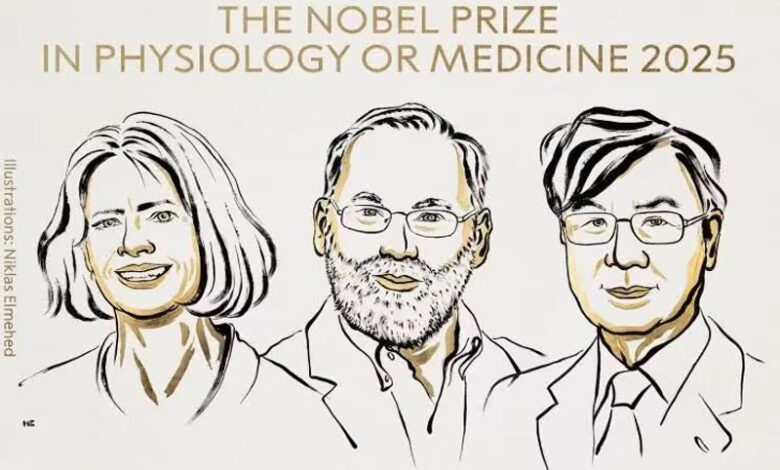 Mary Brunkow, Fred Ramsdell et Shimon Sakaguchi, Lauréats du Prix Nobel de médecine 2025