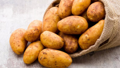 Pommes de terre