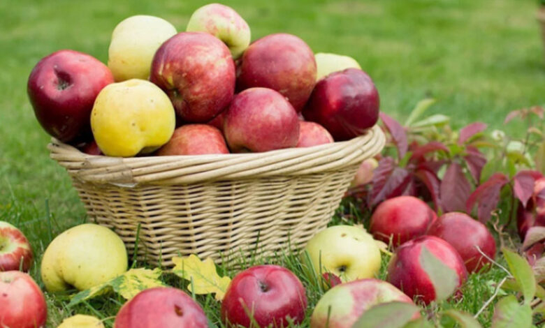 Pommes