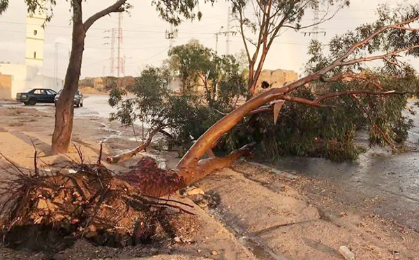 Restes d'un violent orage dans la région de Kershaw dimanche soir 2
