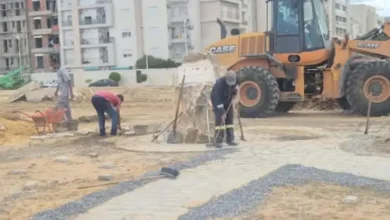 Travaux Jardin Japonais Nabeul