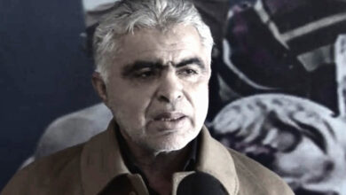 ali fersi