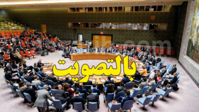 conseil de sécurité des nations unies