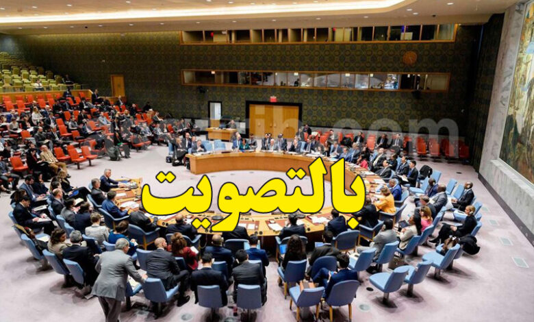 conseil de sécurité des nations unies