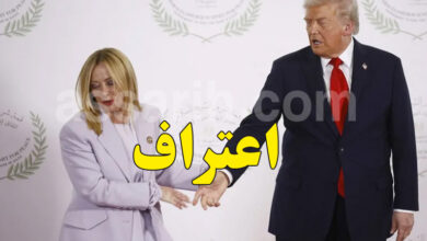 giorgia meloni Donald Trump