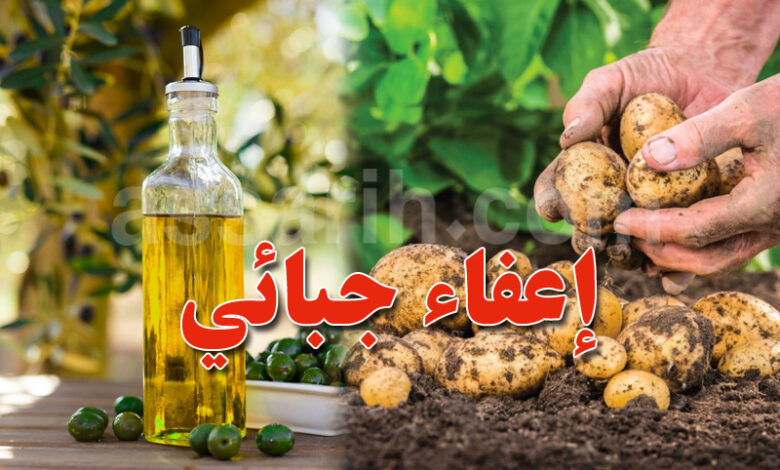 houile dolive et pomme de terre