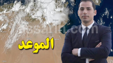 mehrez ghannouchi