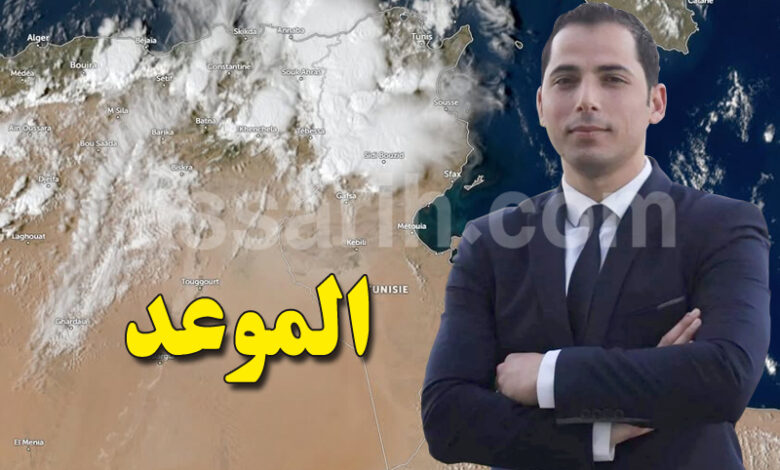 mehrez ghannouchi