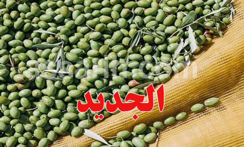 olive