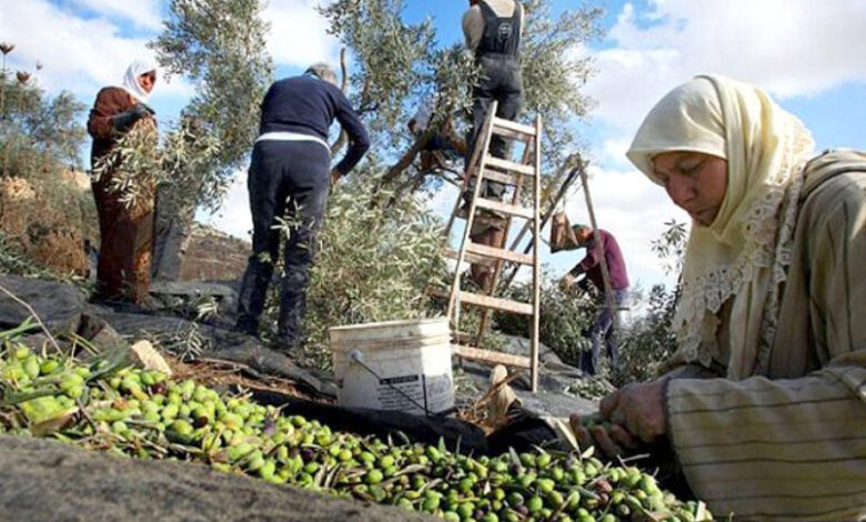 olives