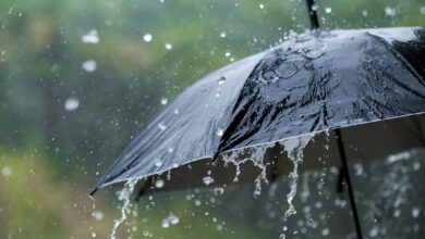pluie