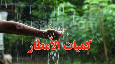 pluie
