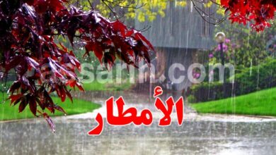 pluie-8-780x470 (1)