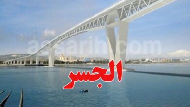 pont bizerte . new