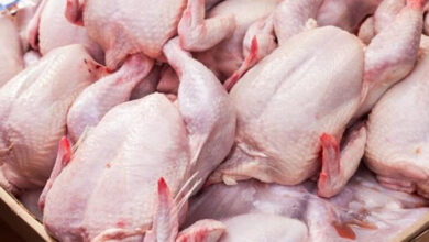 viande de volaille