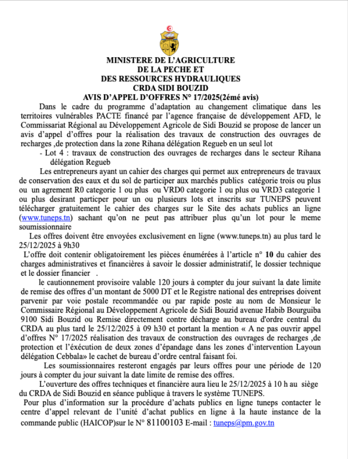 AVIS D’APPEL D’OFFRES N° 17:2025(2émé avis)
