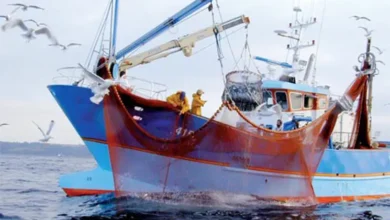 Bateau de pêche