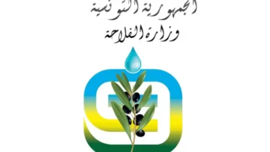CRDA Sidi Bouzid