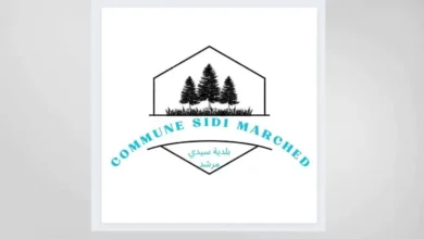 Commune Sidi Morched Seliana