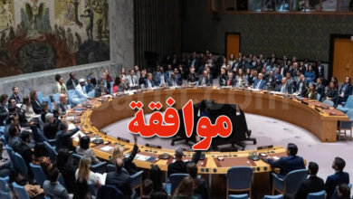 Conseil de sécurité des nations unies