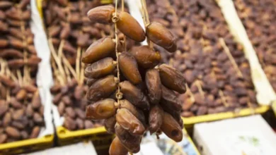 Dates