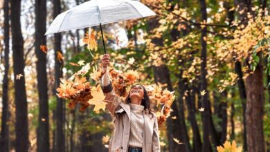 Horoscope Novembre 2025