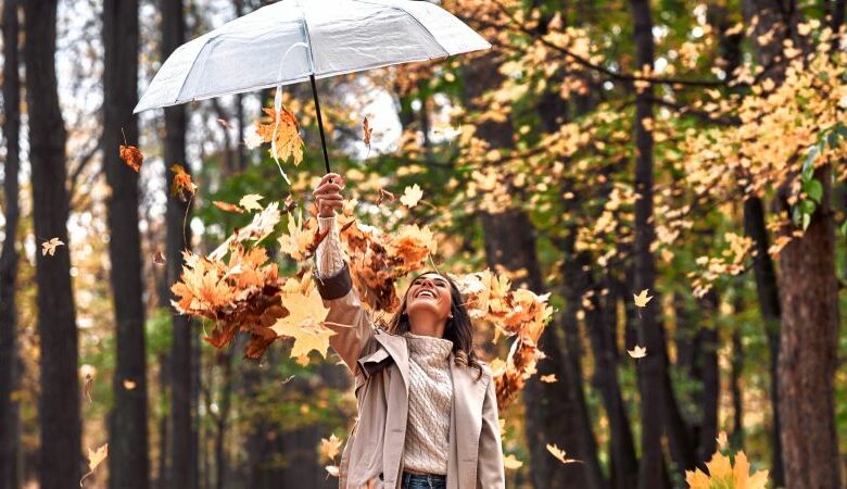 Horoscope Novembre 2025