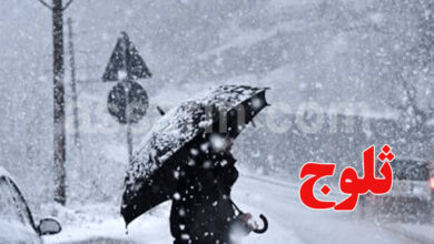 Meteo Froid