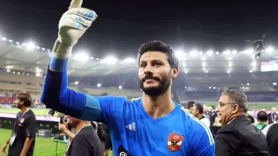 Muhammad El-Shenawy
