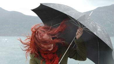 Pluie et vent