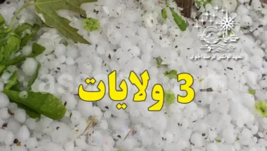 Pluies-Tunisie