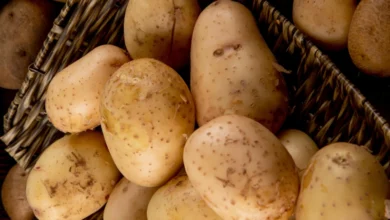 Pommes de terre