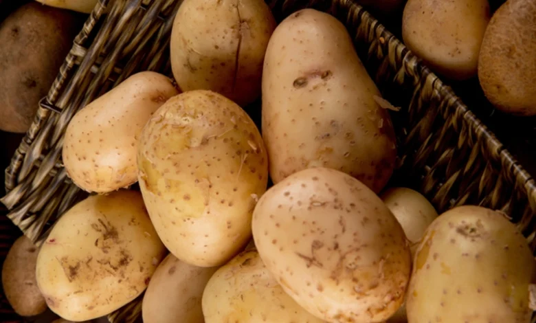 Pommes de terre