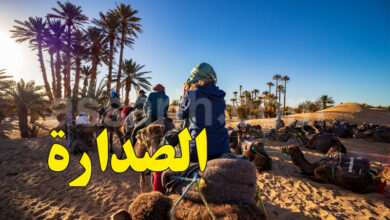 Tunisian desert