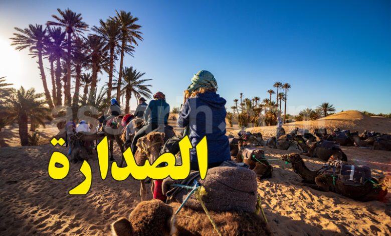 Tunisian desert