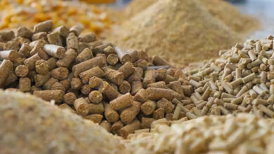 alimentation animale